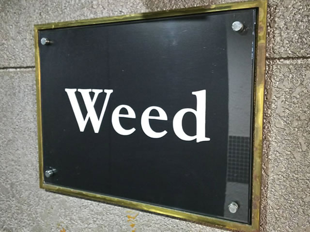 水商売が未経験でも活躍できる中洲のスナックweed(ウィード)